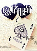 愿赌服输封面