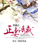 穿越之正妻诱惑封面