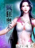 疯狂奥术师封面