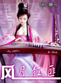 风月狂匪封面