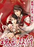 魂武双修封面