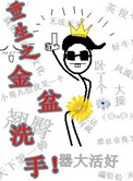重生之金盆洗手封面