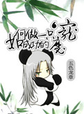 如何做一只成功的魔宠封面