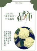 重生未来之晶师封面