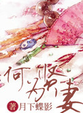 何为贤妻封面