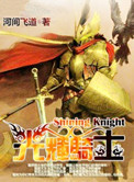 光辉骑士封面