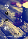 替身模特封面