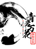 青岩万花封面