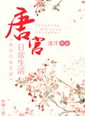 唐宫日常生活封面