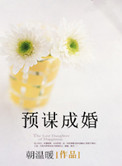 预谋成婚封面