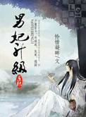 男妃升级系统封面