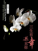 三生有幸，遇见你封面