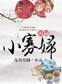 田园小寡妇封面