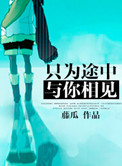 只为途中与你相见封面