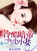 冷酷暗帝的小小妻封面