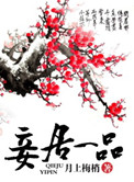 妾居一品封面