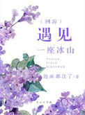 遇见一座冰山（网游）封面