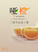 哑橙封面