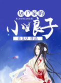 屠户家的小娘子封面