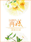 再婚封面