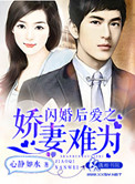 闪婚后爱之娇妻难为封面