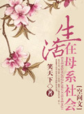 奋斗在母系社会（空间文）封面