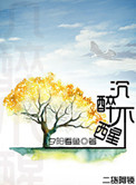 沉醉不醒封面
