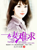 一妻难求（作者：左手天涯）封面