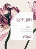 爱不逢时封面