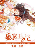 盛宠王妃封面