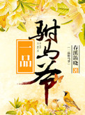一品驸马爷封面