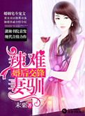 婚后交锋之辣妻难驯封面