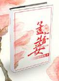 孟家妾封面