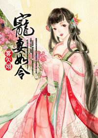 宠妻如令封面