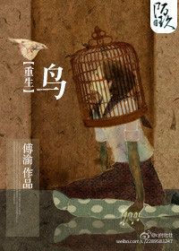 重生之鸟封面