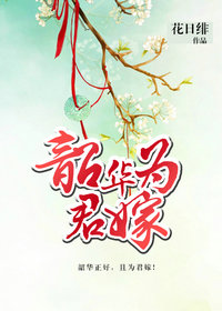 韶华为君嫁封面
