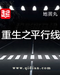 重生之平行线封面