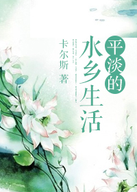 平淡的水乡生活封面