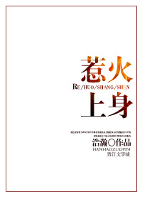 惹火上身封面