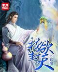我欲封天封面