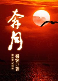（正版）奔月封面
