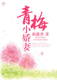 青梅小娇妻封面