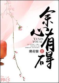 余心有碍（双重生）封面