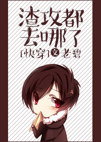 渣攻都去哪了[快穿]封面