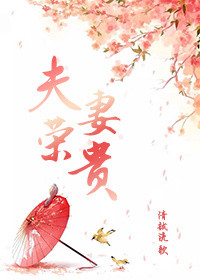夫荣妻贵封面