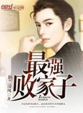 最强败家子封面