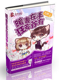 暖妻在手狂妄爷有封面