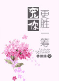 宠你更胜一筹封面