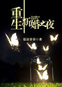 重生新婚之夜封面