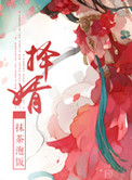 择婿封面